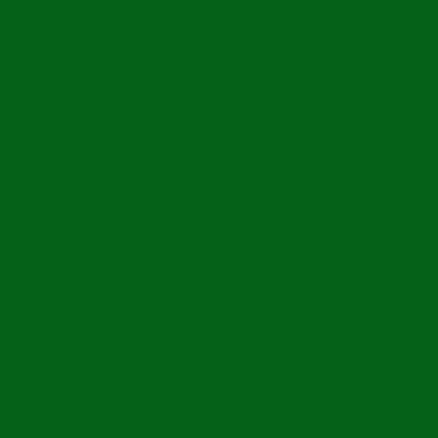 349 Forest Green