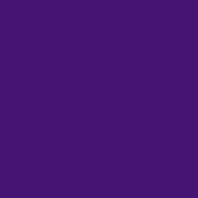 2607 Purple